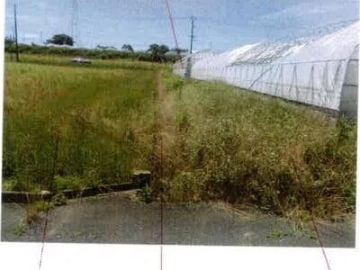 愛知県豊橋市 二川駅18分 農地 439万円の競売物件情報 #5