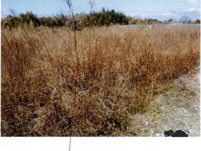 愛知県田原市 農地 75万円の競売物件情報 #3