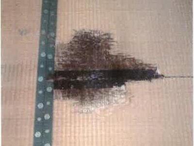 和歌山県日高郡由良町 紀伊由良駅6分 戸建て 143万円の競売物件情報 #17