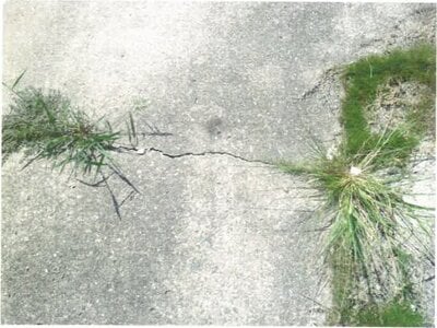 和歌山県日高郡由良町 紀伊由良駅6分 戸建て 143万円の競売物件情報 #2