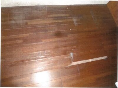 和歌山県御坊市 西御坊駅21分 戸建て 98万円の競売物件情報 #10