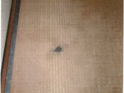 和歌山県御坊市 御坊駅12分 戸建て 165万円の競売物件情報 #6