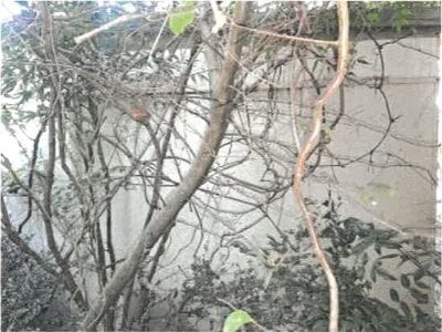 香川県東かがわ市 讃岐白鳥駅3分 戸建て 269万円の競売物件情報 #49