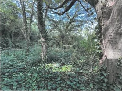 香川県坂出市 八十場駅15分 戸建て 634万円の競売物件情報 #20