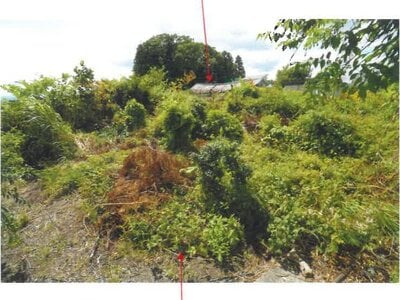 (値下げ) 青森県平川市 撫牛子駅25分 土地 31万円の競売物件情報 #10