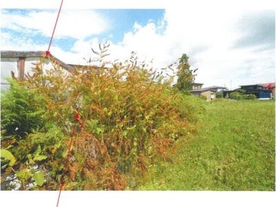 (値下げ) 青森県平川市 撫牛子駅25分 土地 31万円の競売物件情報 #8