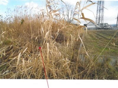 青森県弘前市 新里駅18分 農地 124万円の競売物件情報 #2