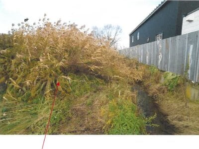 青森県弘前市 新里駅18分 農地 124万円の競売物件情報 #3