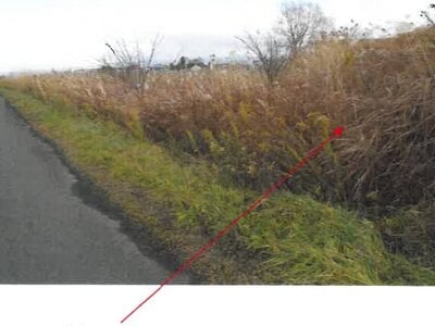 青森県弘前市 新里駅18分 農地 124万円の競売物件情報 #6