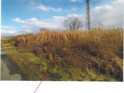 青森県弘前市 新里駅18分 農地 124万円の競売物件情報 #7