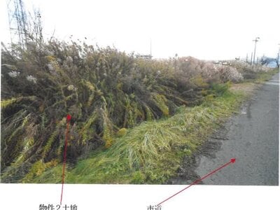 青森県弘前市 新里駅18分 農地 124万円の競売物件情報 #8