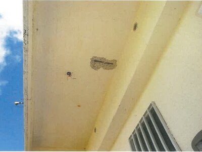 沖縄県島尻郡久米島町 戸建て 88万円の競売物件情報 #7