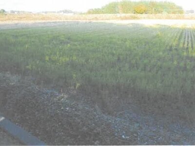 茨城県水戸市 東水戸駅14分 農地 66万円の競売物件情報 #3