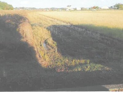 茨城県水戸市 東水戸駅13分 農地 15万円の競売物件情報 #2