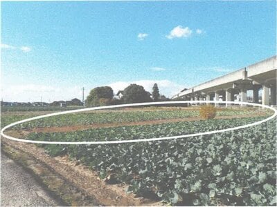 茨城県水戸市 東水戸駅1分 農地 5万円の競売物件情報 #2