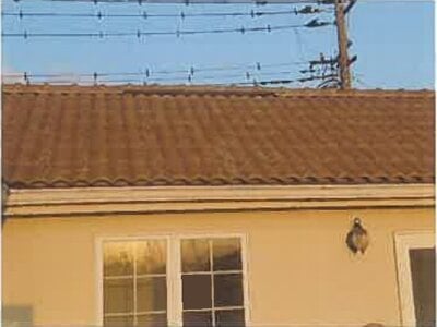 埼玉県吉川市 吉川駅 戸建て 1,135万円の競売物件情報 #18