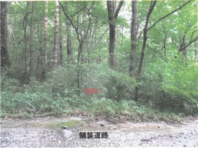 栃木県那須郡那須町 土地 36万円の競売物件情報 #2