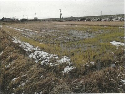 新潟県新潟市北区 早通駅 農地 14万円の競売物件情報 #2