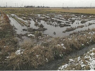 新潟県新潟市北区 早通駅 農地 14万円の競売物件情報 #2