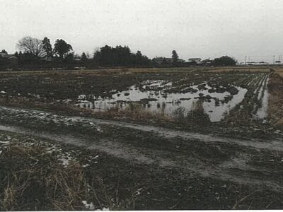 新潟県新潟市北区 早通駅 農地 28万円の競売物件情報 #2