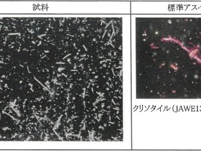 (値下げ) 新潟県糸魚川市 筒石駅28分 戸建て 212万円の競売物件情報 #19