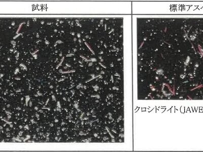 (値下げ) 新潟県糸魚川市 筒石駅28分 戸建て 212万円の競売物件情報 #21