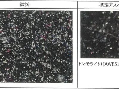 (値下げ) 新潟県糸魚川市 筒石駅28分 戸建て 212万円の競売物件情報 #22