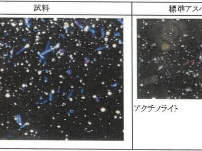 (値下げ) 新潟県糸魚川市 筒石駅28分 戸建て 212万円の競売物件情報 #23