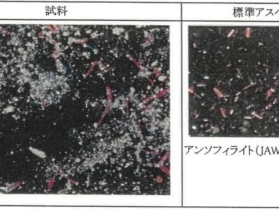 (値下げ) 新潟県糸魚川市 筒石駅28分 戸建て 212万円の競売物件情報 #24