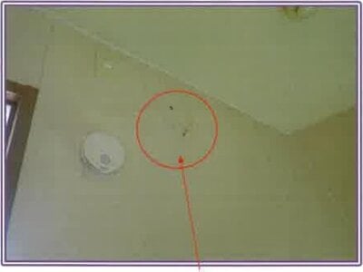 静岡県島田市 六合駅2分 戸建て 162万円の競売物件情報 #10