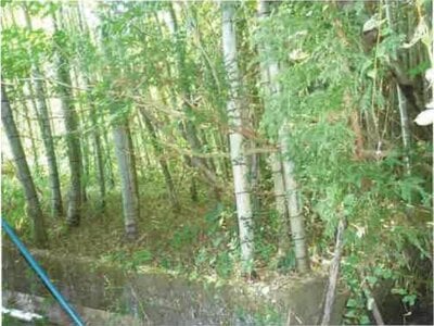 (値下げ) 静岡県藤枝市 藤枝駅 農地 61万円の競売物件情報 #2