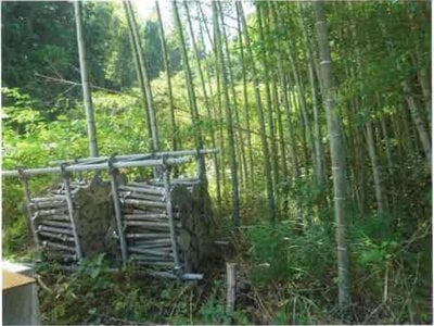 (値下げ) 静岡県藤枝市 藤枝駅 農地 61万円の競売物件情報 #3