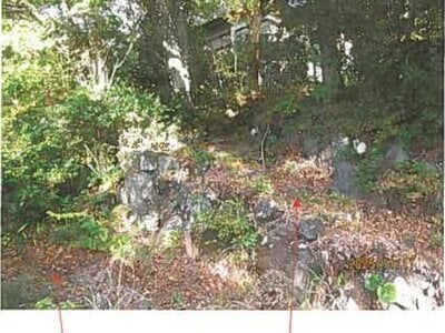 静岡県伊東市 伊豆高原駅26分 戸建て 569万円の競売物件情報 #3