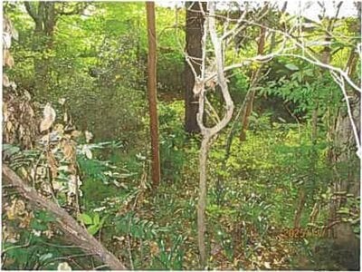 静岡県伊東市 伊豆高原駅26分 戸建て 569万円の競売物件情報 #4