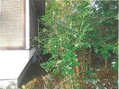 静岡県伊東市 伊豆高原駅26分 戸建て 569万円の競売物件情報 #9