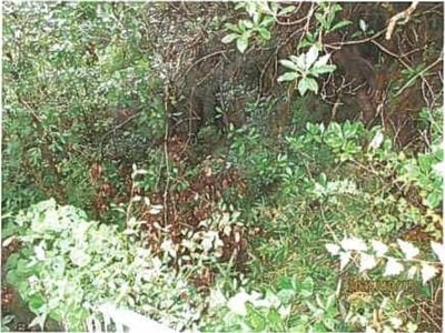 静岡県裾野市 裾野駅 戸建て 775万円の競売物件情報 #6