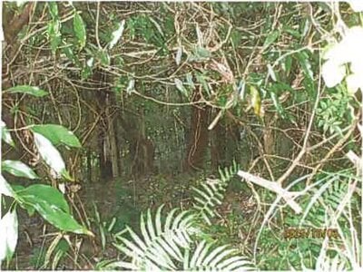 静岡県裾野市 裾野駅 戸建て 775万円の競売物件情報 #7