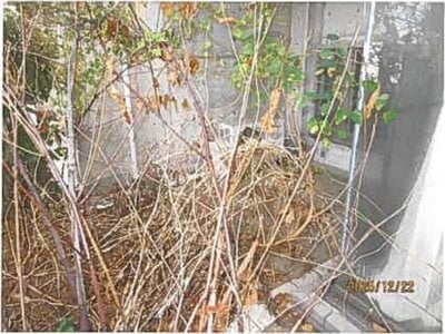 静岡県伊東市 富戸駅29分 マンション「パルファイン伊豆高原」1万円の競売物件情報 #25