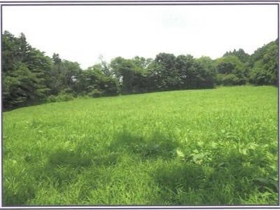 静岡県富士宮市 農地 50万円の競売物件情報 #2