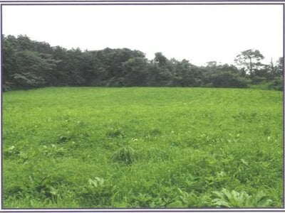 静岡県富士宮市 農地 50万円の競売物件情報 #3