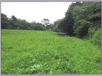 静岡県富士宮市 農地 50万円の競売物件情報 #4