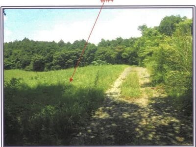 静岡県富士宮市 農地 50万円の競売物件情報 #5