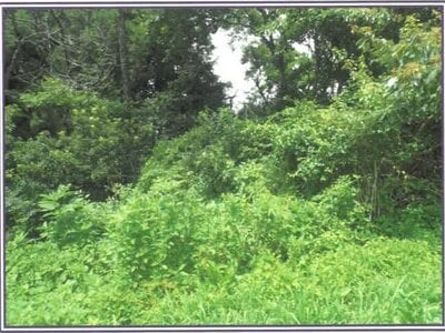 静岡県富士宮市 農地 50万円の競売物件情報 #6