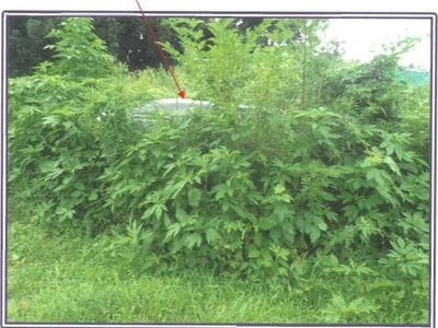 静岡県富士宮市 戸建て 214万円の競売物件情報 #16