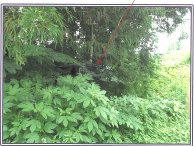 静岡県富士宮市 戸建て 214万円の競売物件情報 #17