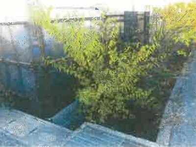 滋賀県彦根市 南彦根駅29分 土地 184万円の競売物件情報 #8