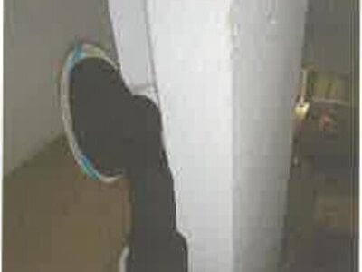 滋賀県近江八幡市 近江八幡駅 戸建て 993万円の競売物件情報 #17