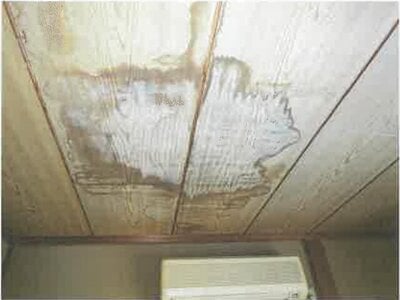 滋賀県彦根市 稲枝駅 戸建て 231万円の競売物件情報 #13