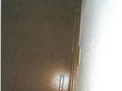 滋賀県彦根市 稲枝駅 戸建て 231万円の競売物件情報 #17