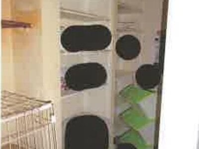 滋賀県彦根市 河瀬駅10分 戸建て 861万円の競売物件情報 #14